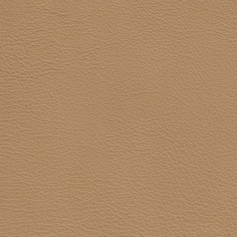 FABRIC Leather Due : Due / Latte FABRIC Leather Due : Due / Latte